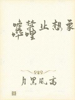 嘘禁止想象哔哩哔哩