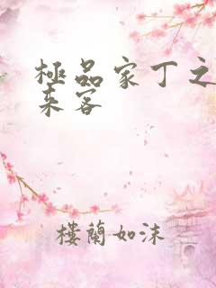 极品家丁之远方来客