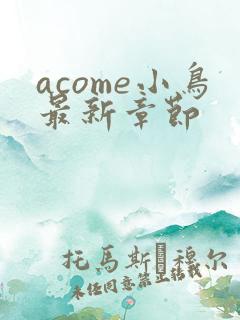 acome小鸟最新章节