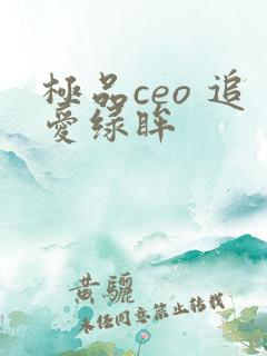 极品ceo 追爱绿眸
