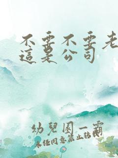 不要不要老板别这是公司