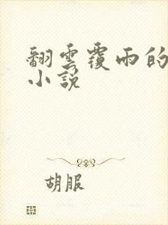 翻云覆雨的秘密小说