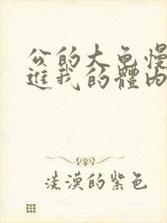 公的大龟慢慢挺进我的体内