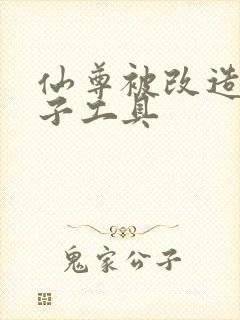 仙尊被改造成产子工具