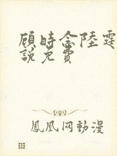 顾时念陆霆骁小说免费