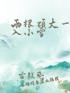 两根硕大一起挤入小雪