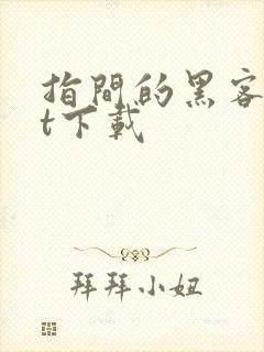 指间的黑客txt下载