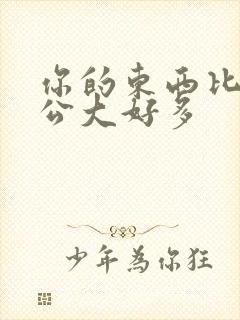 你的东西比我老公大好多