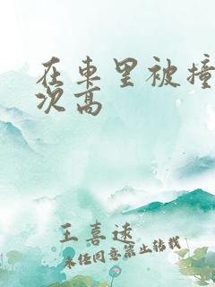 在车里被撞了八次高