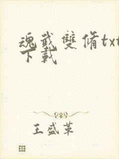 魂武双修txt下载