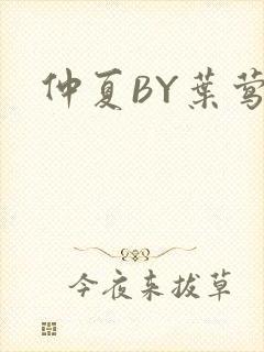 仲夏BY叶莺