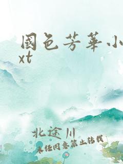 国色芳华小说txt