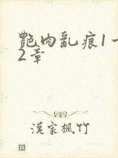 艳肉乱痕1一12章