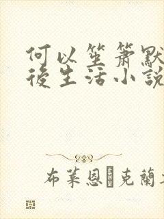 何以笙箫默之婚后生活小说