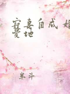 宠妻自成 婚天爱地