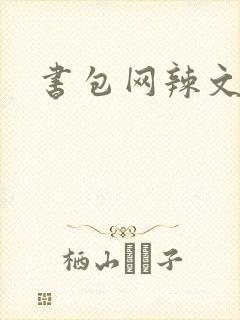 书包网辣文