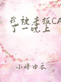 我被老板CAO了一晚上