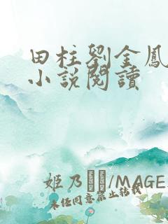 田柱刘金凤医生小说阅读