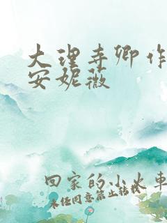 大理寺卿作者:安妮薇