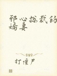 邪心总裁的纯情娇妻