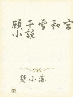 顾千雪和宫凌沨小说