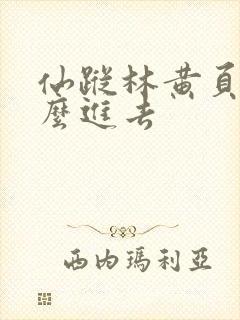 仙踪林黄页网怎么进去