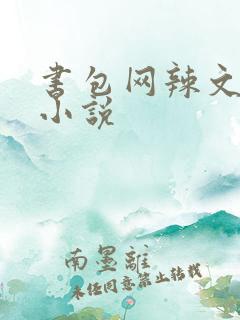 书包网辣文全本小说