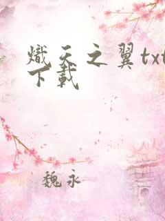 炽天之翼txt下载