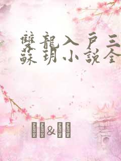 双龙入户三人行苏玥小说全文阅读