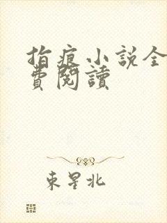 指痕小说全文免费阅读