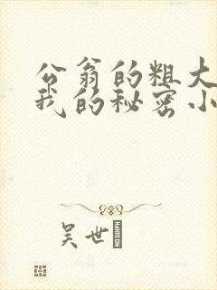 公翁的粗大放进我的秘密小说