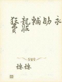 狂龙辅助永久免费版