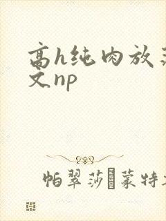 高h纯肉放荡h文np