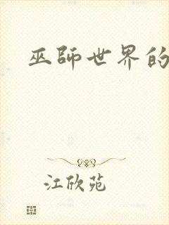 巫师世界的法师