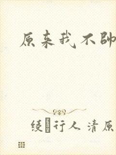 原来我不帅小说