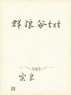 群狼谷txt