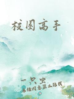 校园高手