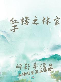 红楼之林家庶长子