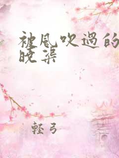 被风吹过的夏天晓渠