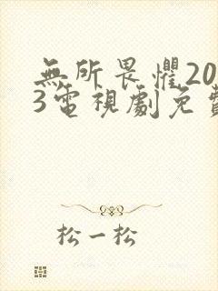 无所畏惧2023电视剧免费观看