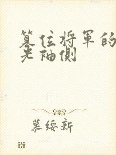 篡位将军的白月光袖侧