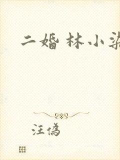 二婚 林小染