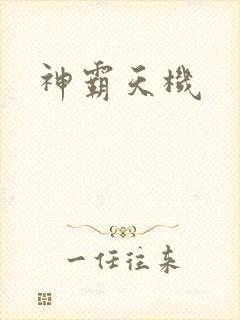 神霸天机