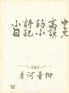 小诗的高中成长日记小说免费阅读