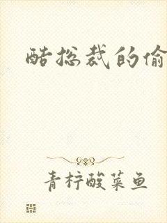 酷总裁的偷孕妻