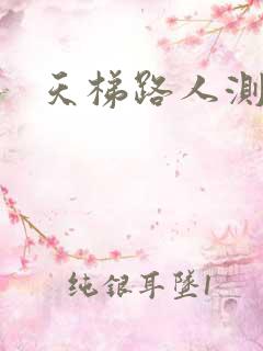 天梯路人测试器