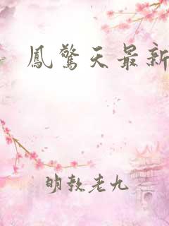 凤惊天最新章节