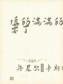 填的满满的 不要了