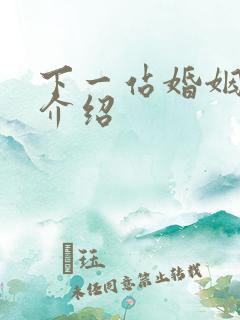 下一站婚姻剧情介绍