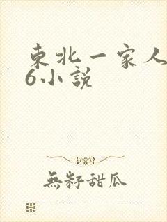 东北一家人1一6小说